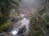 p1010046_t1.jpg