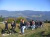 img_5287_t1.jpg