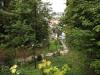 dscf0085_t1.jpg