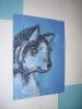 dsc01943_t1.jpg