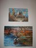 dsc01950_t1.jpg