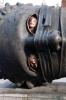 dsc_4596_t1.jpg