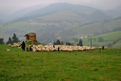 Szczawnica 2014