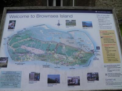 Brownsea Island