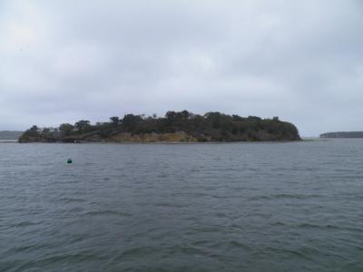 Brownsea Island