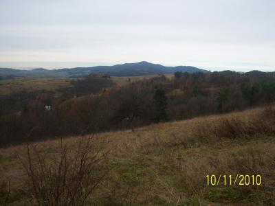 Szczawnica 4tc 2010